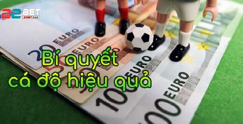 Bí Quyết Cá Cược Bóng Đá Luôn Thành Công