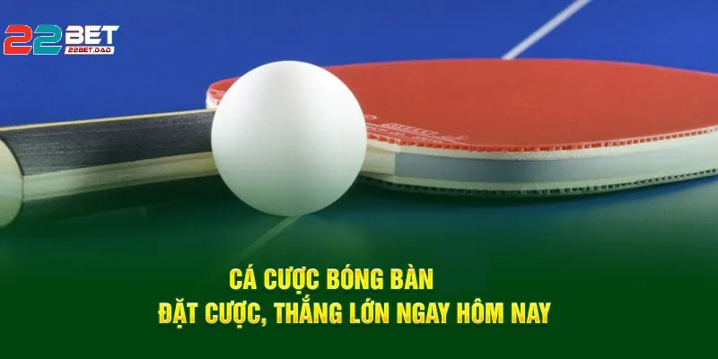 Bóng Bàn Tại 22bet – Nơi Đam Mê Gặp Cơ Hội