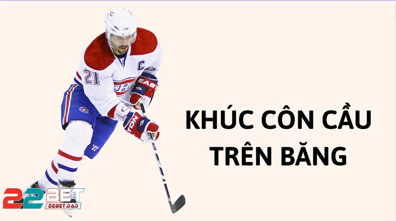 Khúc Côn Cầu Băng – Môn Thể Thao Của Tốc Độ Và Sức Mạnh