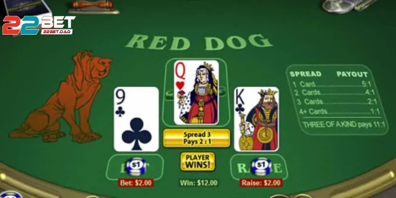 Mẹo chơi Red Dog hiệu quả để tăng cơ hội thắng