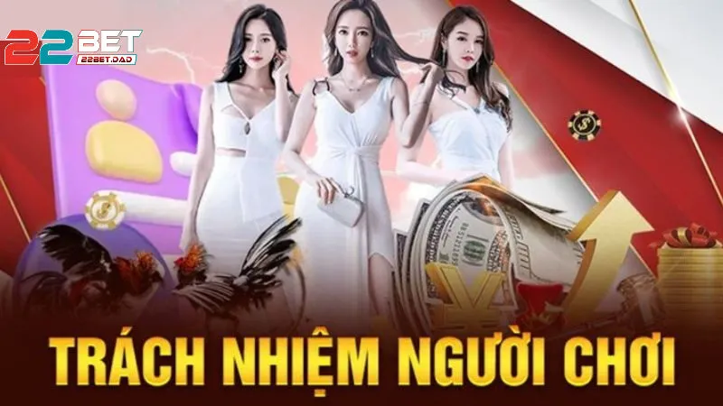 Pháp Lý Và Chơi Có Trách Nhiệm Tại Việt Nam