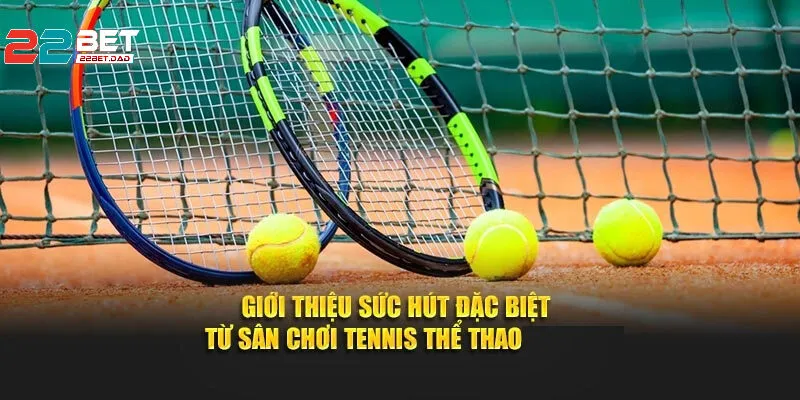 Quần Vợt - Tầm Quan Trọng và Sức Hút Trong Giới Thể Thao